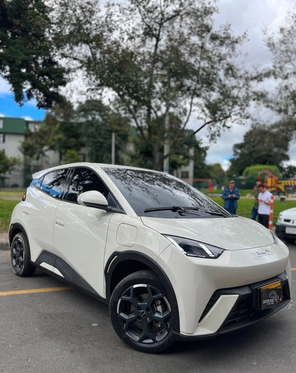 BYD SEAGULL 2026 ELÉCTRICO AUTOMÁTICO GL 300