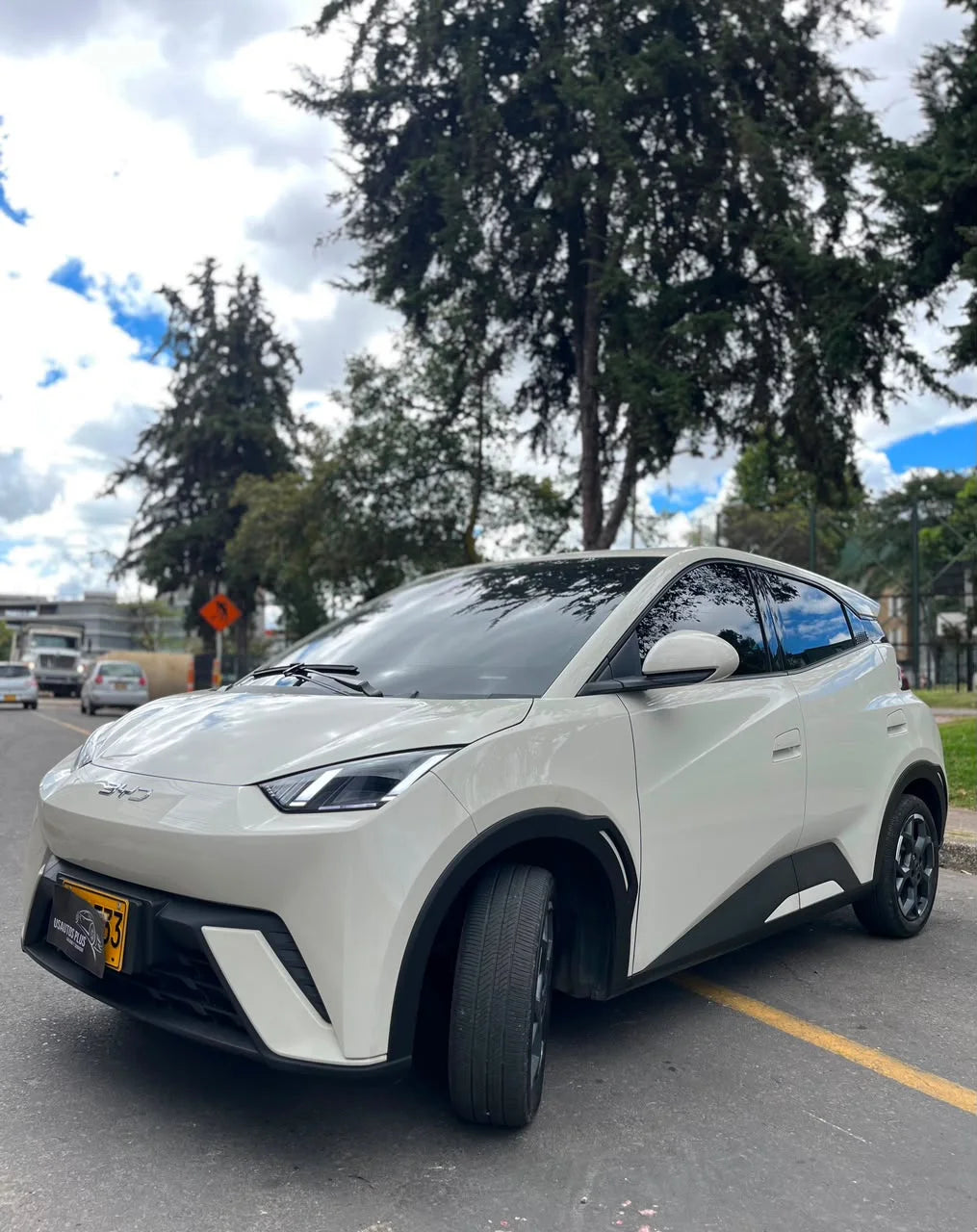 BYD SEAGULL 2026 ELÉCTRICO AUTOMÁTICO GL 300