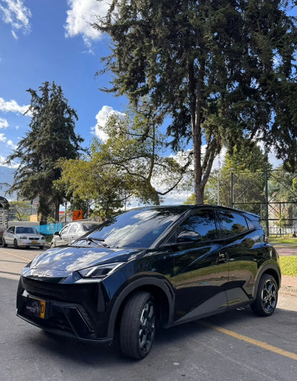 BYD SEAGULL GS 380/400 AT 55 kW