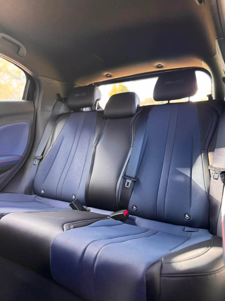BYD SEAGULL GS 380/400 AT 55 kW